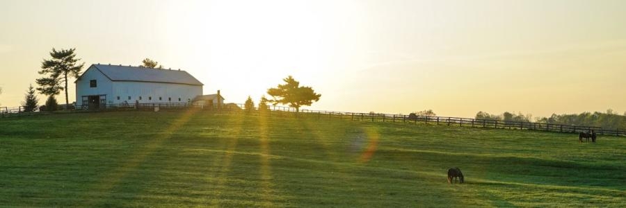 Why Kentucky is the Ultimate Destination for Bourbon Lovers