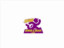 https://savingsseweranddrain.com/ website
