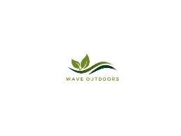 https://waveoutdoors.com/ website