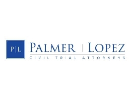 https://palmerinjurylaw.com/ website