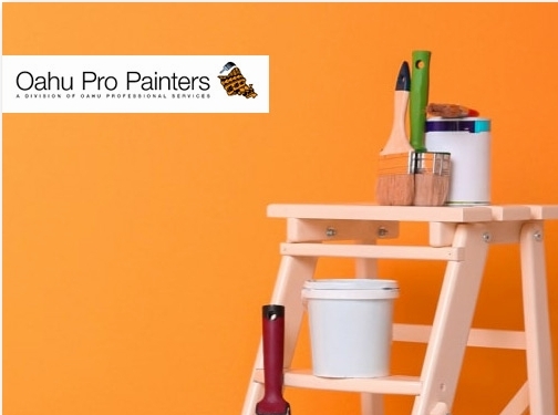 https://www.oahupropainters.com/ website