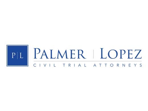 https://palmerinjurylaw.com/ website